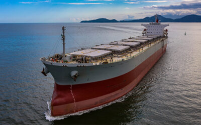 Paris MoU Bulk Carriers PSC Performance – CY2021