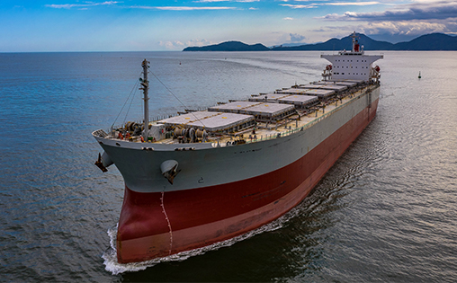 Paris MoU Bulk Carriers PSC Performance – CY2021