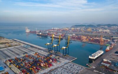 PSC Best Performing Ships L36M (Jul. 2020 – Jun. 2023)